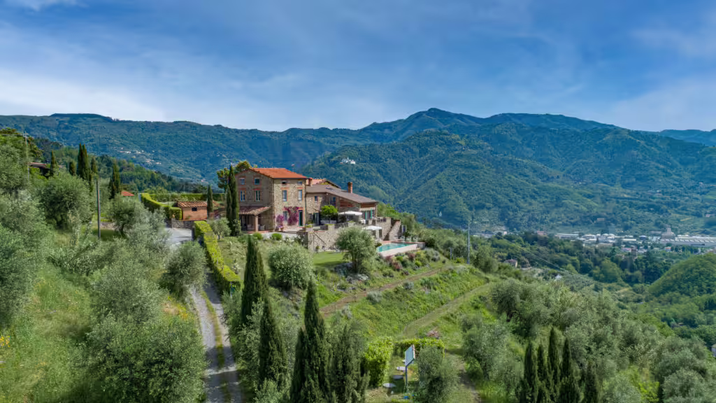 La Limonaia among olive groves with the mountain ridge behind it