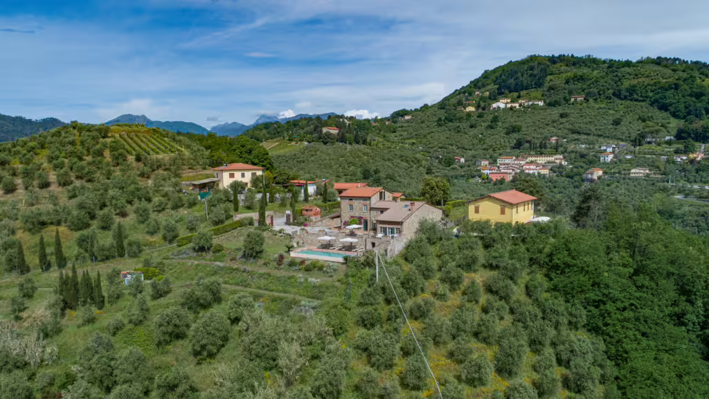 La Limonaia - Limonaia PH  7