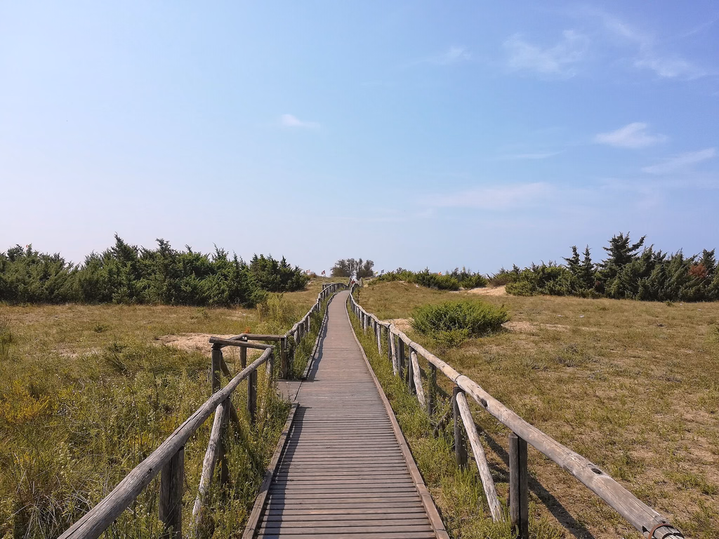 A wooden path crossing the protected dunes on the way to Lecciona beach