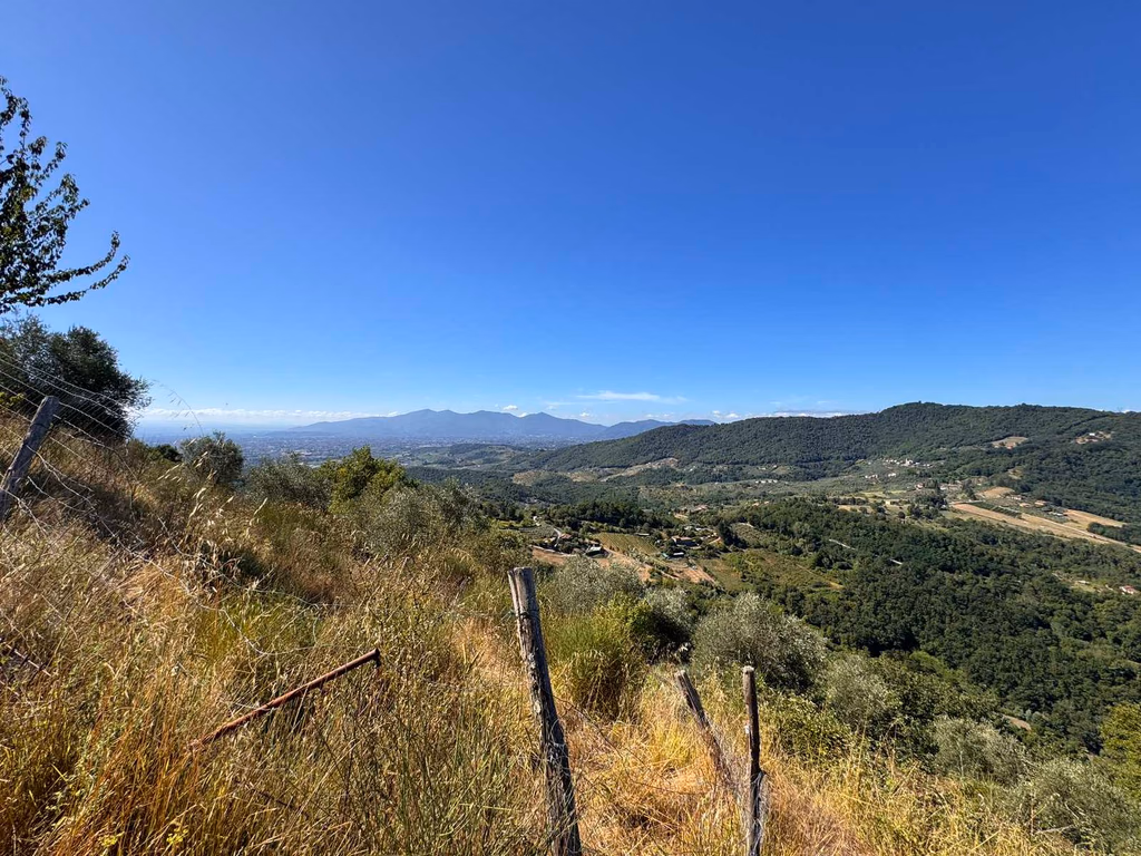 Olive groves and wooded hills seen from the trail above Aquilea