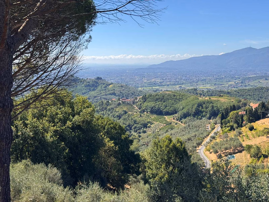 The Lucca plain and Monte Pisano seen from the Castellaccio hike