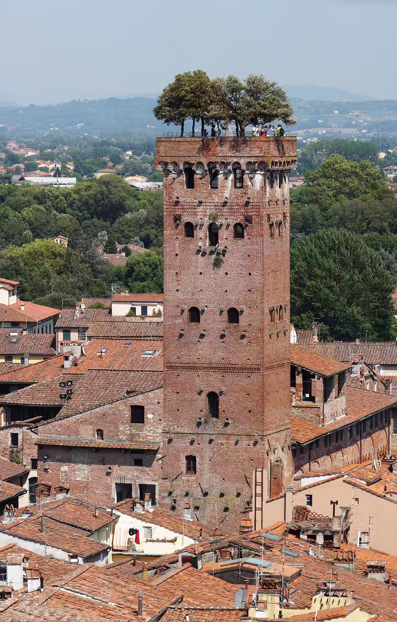 The Torre Guinigi in Lucca with seven holm oaks growing from a garden at its top