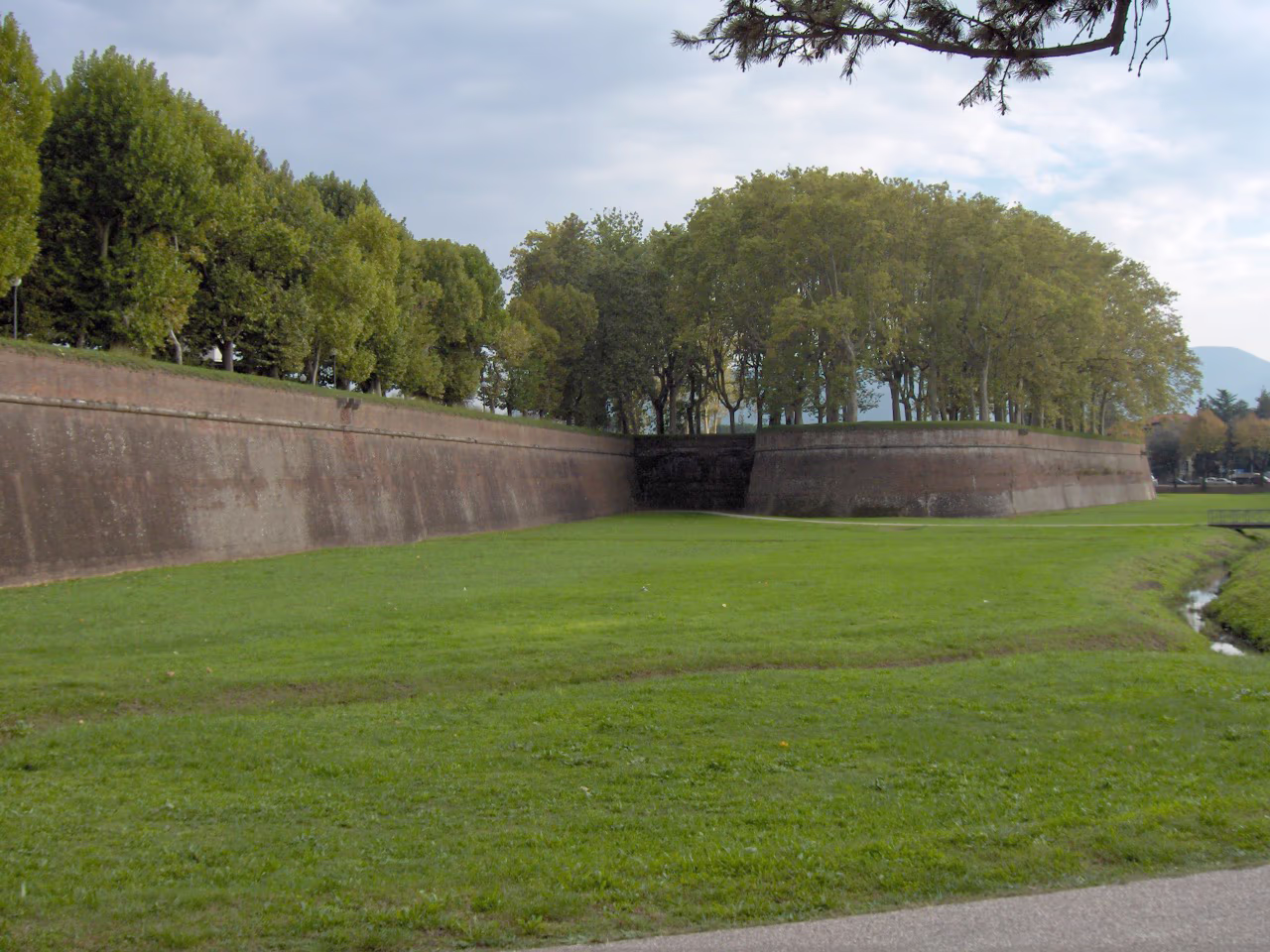 The tree-lined promenade on top of the Renaissance walls of Lucca