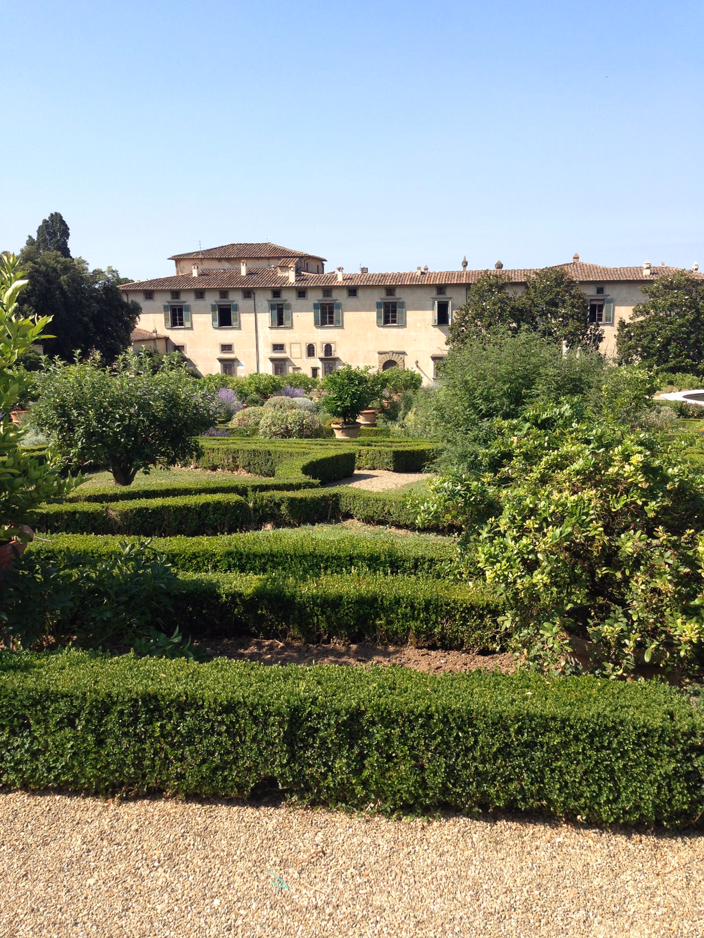 Clipped hedges, citrus trees and the rear façade of Villa di Castello